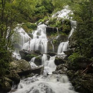 Half Day Hike - Water Falls