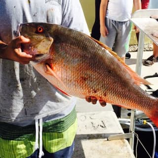 Half-Day Fishing Trip in Fort Lauderdale