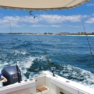 Family Fun Combo: Dolphins, Fishing & Swimming (Flowing Water Charters)