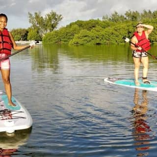 Miami Kayak and Paddleboard Rentals in Virginia Key