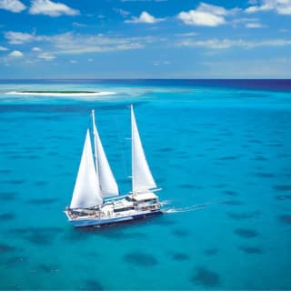 Michaelmas Cay Great Barrier Reef Sailing Cruise from Cairns