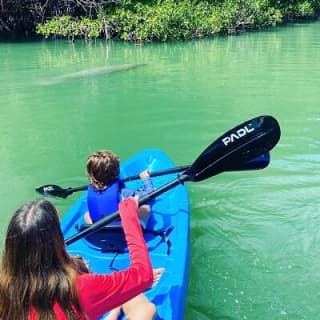 Miami Kayak and Paddleboard Rentals in Virginia Key