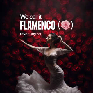 ﻿We call it Flamenco: A Unique Spanish Dance Show