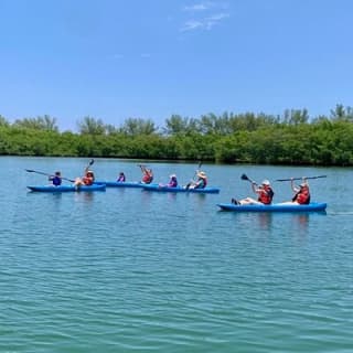 Miami Kayak and Paddleboard Rentals in Virginia Key