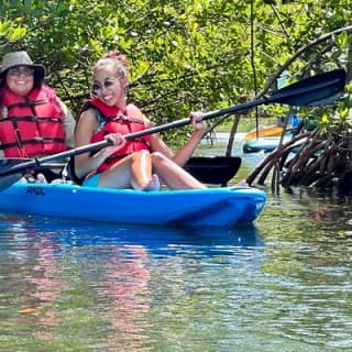 Miami Kayak and Paddleboard Rentals in Virginia Key