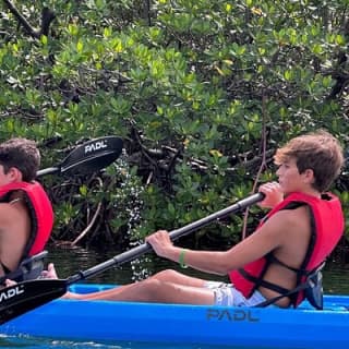 Miami Kayak and Paddleboard Rentals in Virginia Key