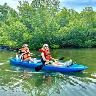 Miami Kayak and Paddleboard Rentals in Virginia Key