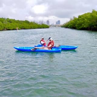 Miami Kayak and Paddleboard Rentals in Virginia Key