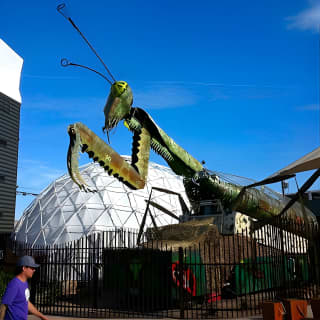 Small-Group Downtown and Fremont Street History Walking Tour