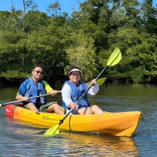 2 Hours Guided Robinson Preserve Mangrove Tour