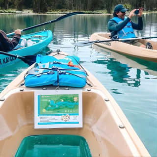 Silver Springs Glass Bottom Kayak Tour!