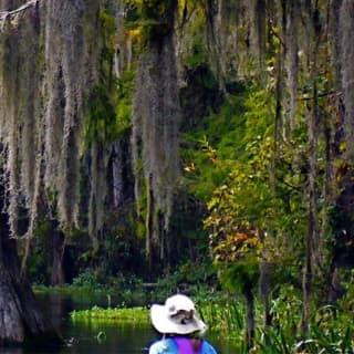 Wekiva River Guided Kayak Tour