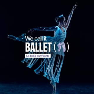 We call it Ballet: Espectáculo de Danza y Luces de La Bella Durmiente