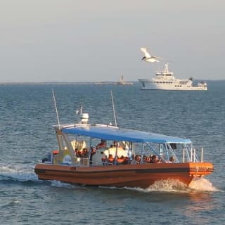 Discover Darwin Harbour 1 hour Darwin Harbour Cruise