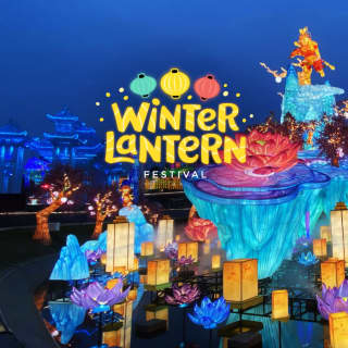 Winter Lantern Festival - Washington DC