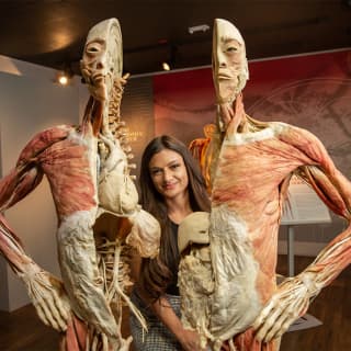 Real Bodies: A Journey Through the Human Experience