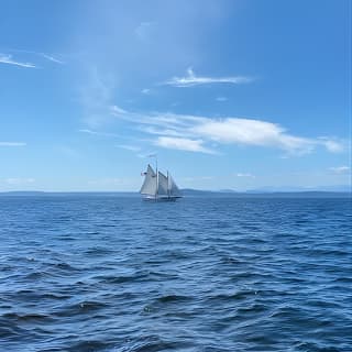 2-Hour Seattle Sailing Harbor Tour