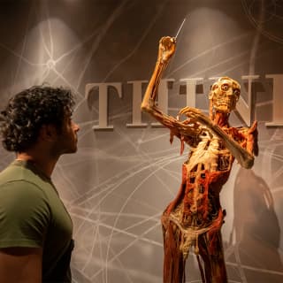 Real Bodies: A Journey Through the Human Experience