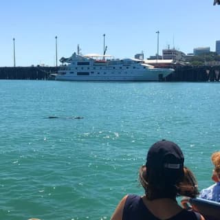 Discover Darwin Harbour 1 hour Darwin Harbour Cruise