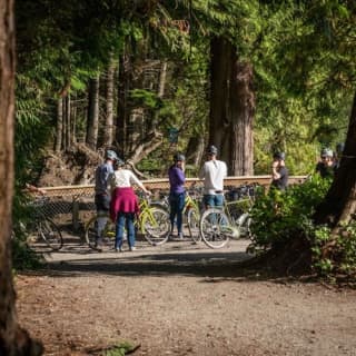 The Stanley Park Bike Tour