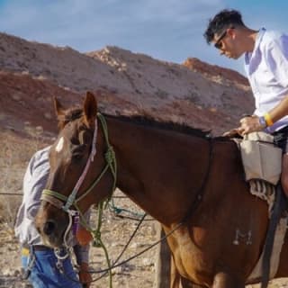  Horseback Riding Tour in Las Vegas