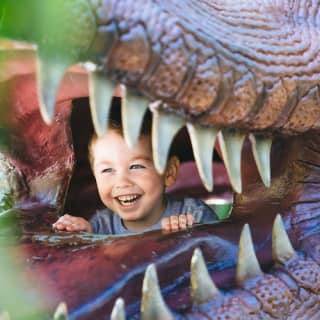 Dinosaur World Florida: Entry Ticket