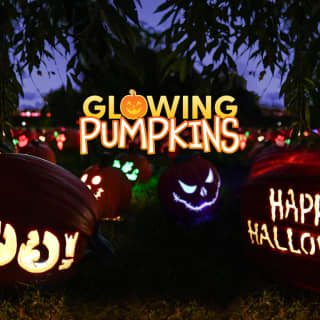 Glowing Pumpkins: A Phoenix Jack-o-Lantern Adventure