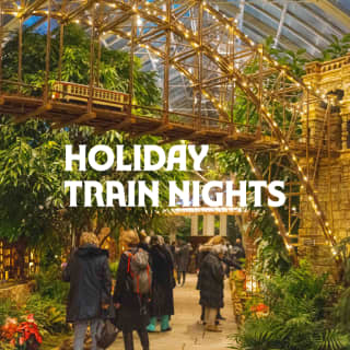 Holiday Train Nights at NYBG