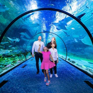 The National Aquarium Abu Dhabi