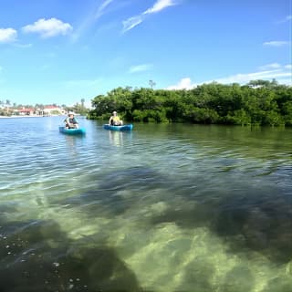  Lido Key Pedal Kayak Tour in Sarasota