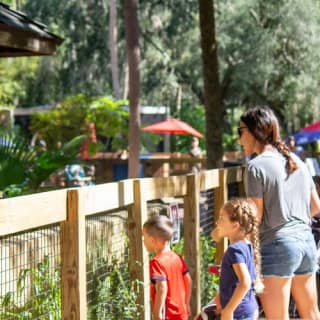 Central Florida Zoo & Botanical Gardens: Skip The Line