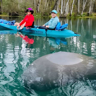 Silver Springs Glass Bottom Kayak Tour!