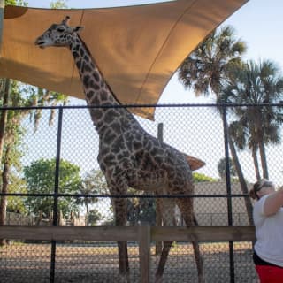 Central Florida Zoo & Botanical Gardens: Skip The Line