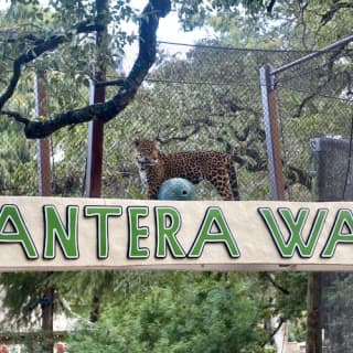 San Antonio Zoo (Flexible Entry)
