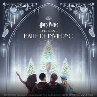 Harry Potter: A Yule Ball Celebration