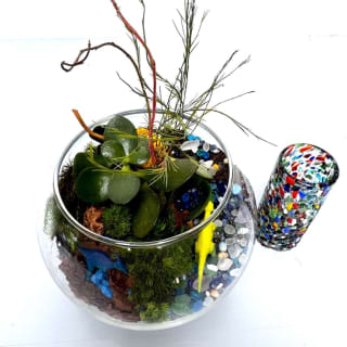 Tequila and Terrarium Night Workshop