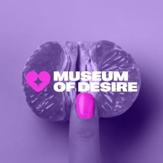 Museum Of Desire