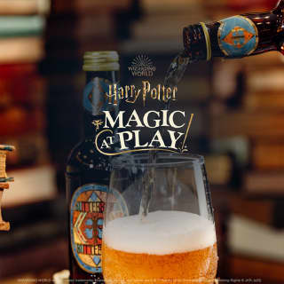 Harry Potter™: Magic at Play