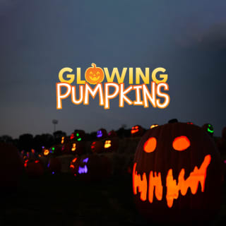 Glowing Pumpkins: A Phoenix Jack-o-Lantern Adventure