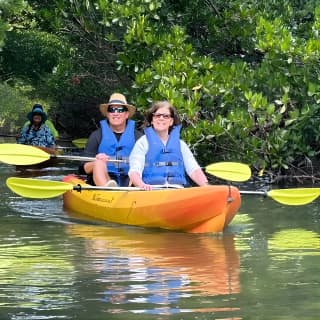 2 Hours Guided Robinson Preserve Mangrove Tour