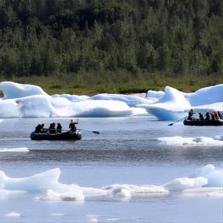 Bears, Trains & Icebergs Tour