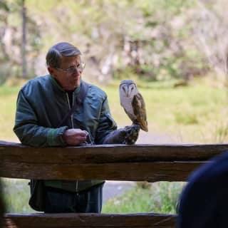 Eagles Heritage: Birds of Prey encounter & Forest Walk