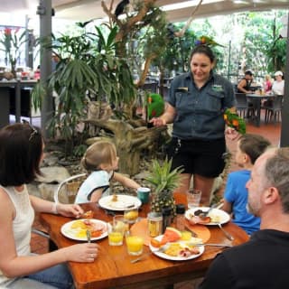 Port Douglas Wildlife Habitat