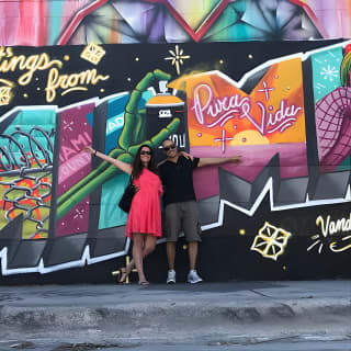 French Street Art Tour in Wynwood, Miami