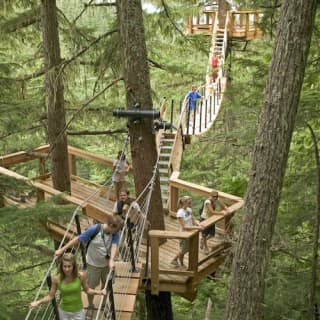 Whistler Ziptrek Ecotours: Zipline Adventure