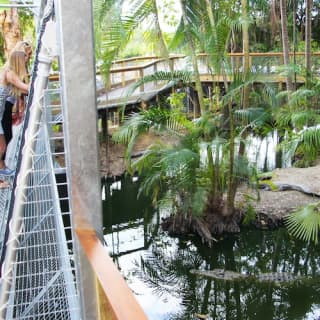 Port Douglas Wildlife Habitat