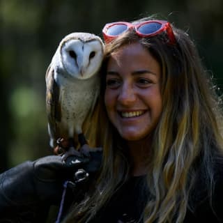 Eagles Heritage: Birds of Prey encounter & Forest Walk