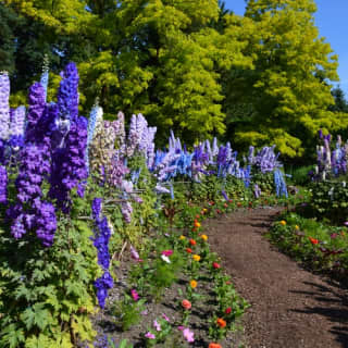 VanDusen Botanical Garden: A green city-centre oasis