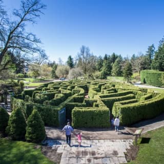 VanDusen Botanical Garden: A green city-centre oasis