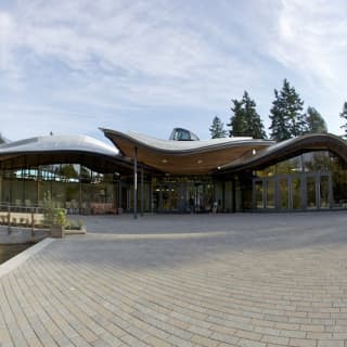 VanDusen Botanical Garden: A green city-centre oasis